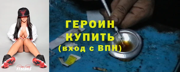 сатива Няндома