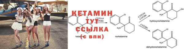 сатива Няндома
