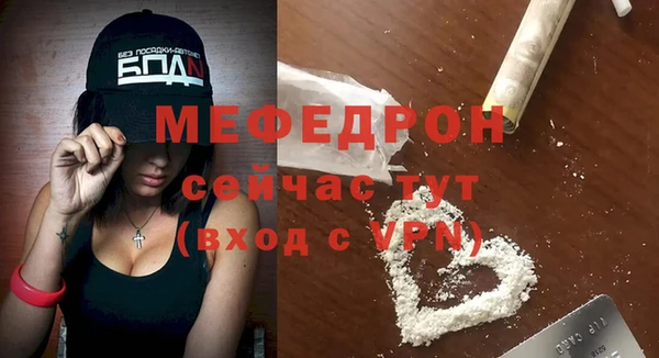 сатива Няндома
