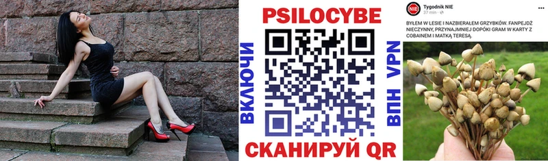 Псилоцибиновые грибы Psilocybe Амурск